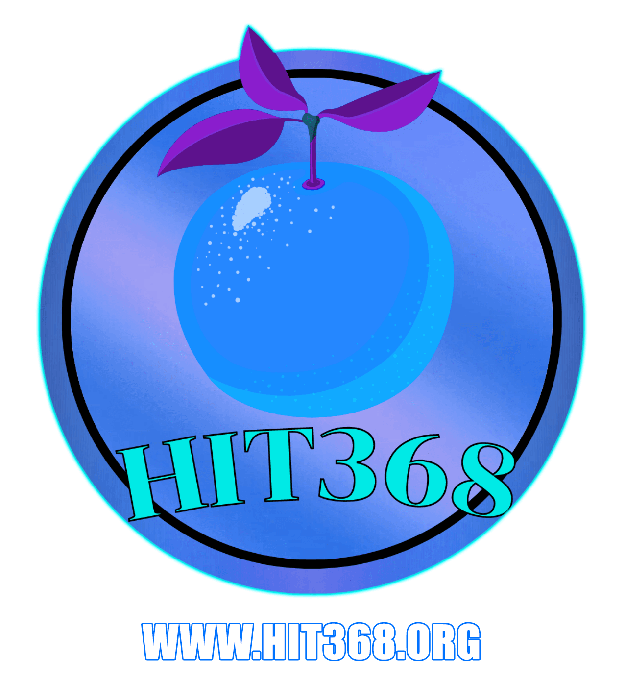 hit368